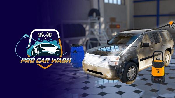 专业洗车（PRO Car Wash）