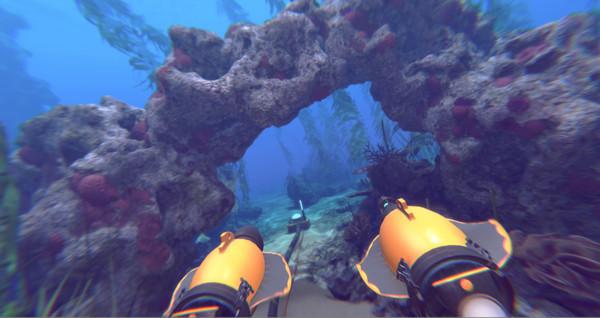 操作顶点（Operation Apex）