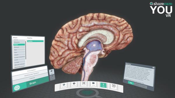 人体直观+DLC（Sharecare YOU VR）