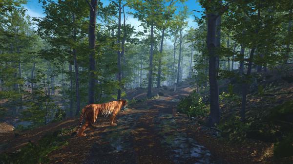 猫科动物救援（Big Cat Rescue VR）